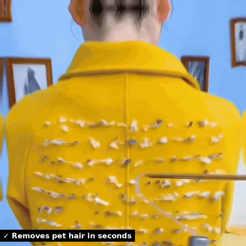 Lint Remover 🐶🐱